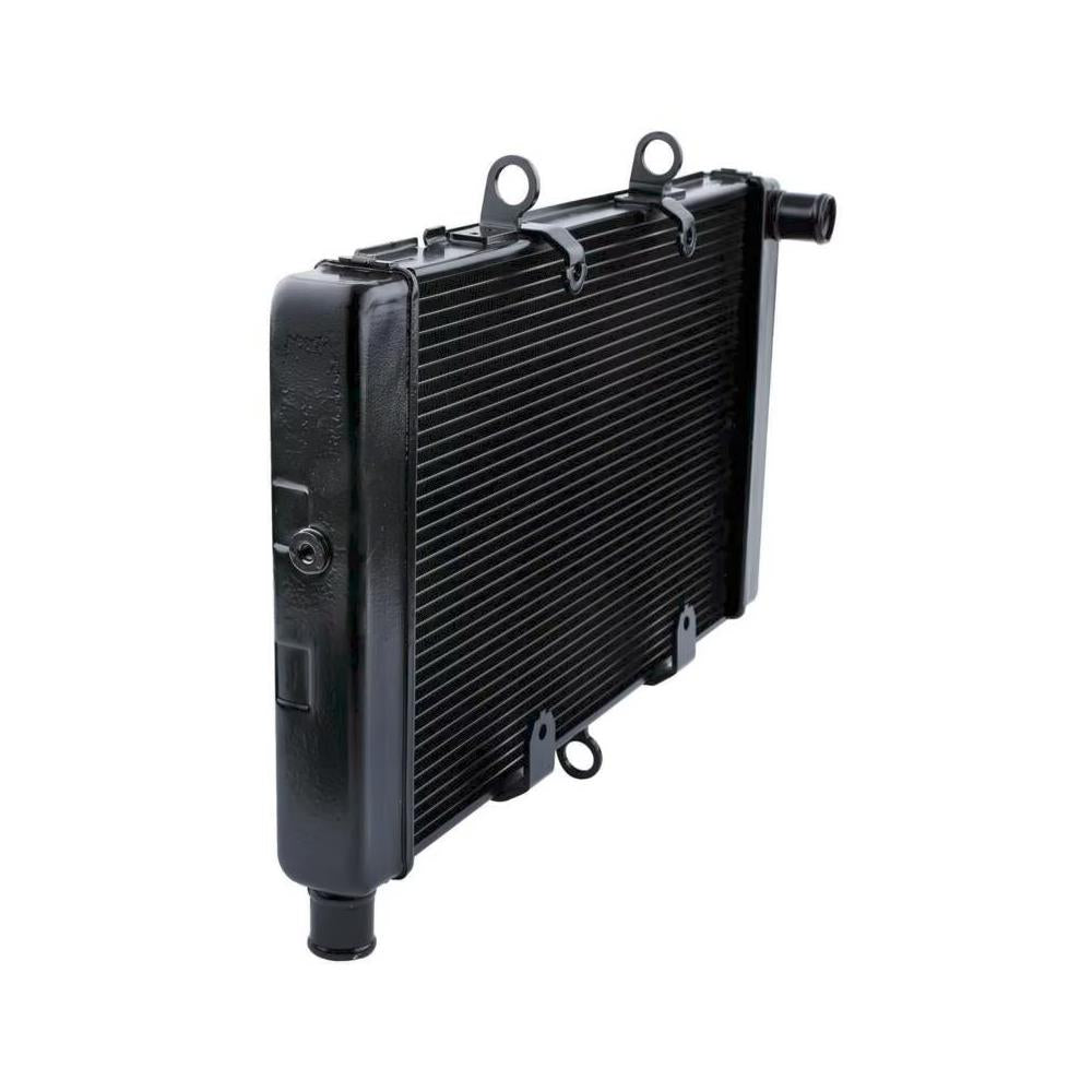 Radiator Engine Cooler For Honda CB1000R 2008-2016