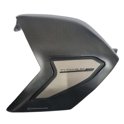 Ducati Streetfighter V4 / S/SP 2020-2024 Carbon Rear Swingarm Cover Fairing Kit