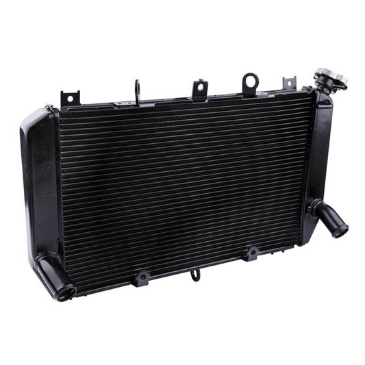 Replacement Radiator Engine Cooler For Kawasaki Z900 2017-2025