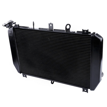 Replacement Radiator Engine Cooler For Kawasaki Z900 2017-2025